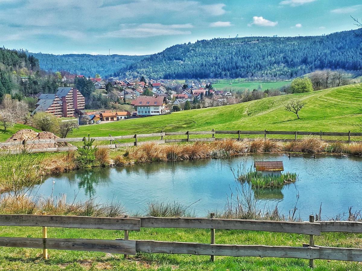 Schwarzwald Woelkchen Apartment Baiersbronn Bagian luar foto